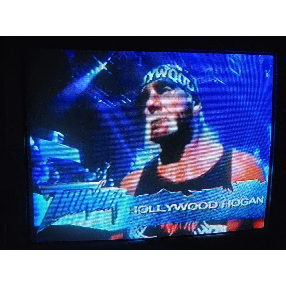 WCW nWo Thunder Sony PlayStation 1 PS1 1998 Wrestling Fighting Game Disc Only